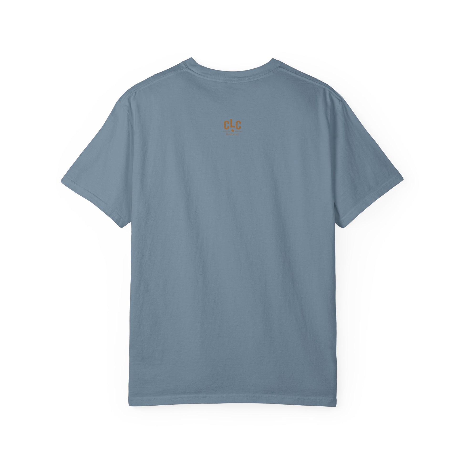 Ice blue Raised on BBQ and Sunshine retro graphic tee